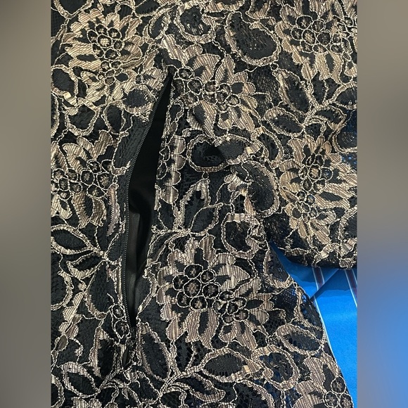 Ted Baker Elke Lace Shift Dress US Size 2 - Picture 8 of 14